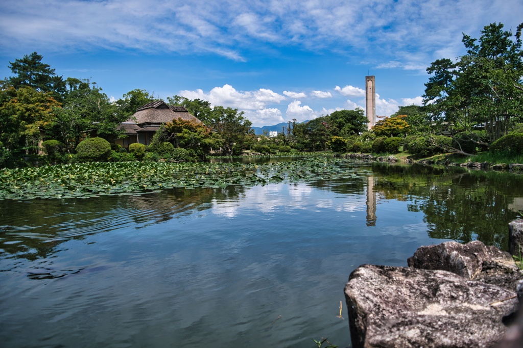 神野公園_2021_0716_4