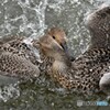 c. 壮絶な戦い