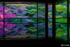 京都　瑠璃光院　1