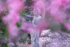 中山寺　梅の花に囲まれた観音像