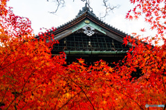 京都の紅葉（真如堂ー4）