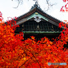 京都の紅葉（真如堂ー4）