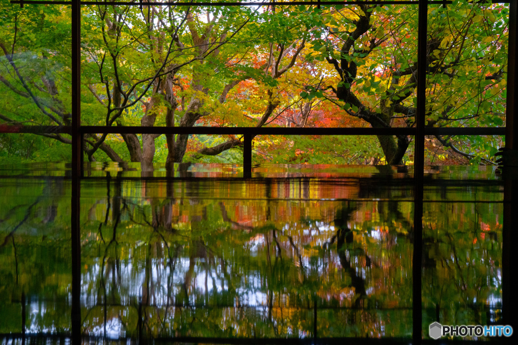 京都　瑠璃光院　3