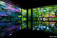 京都　瑠璃光院　2