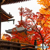 京都の紅葉（真如堂ー2）
