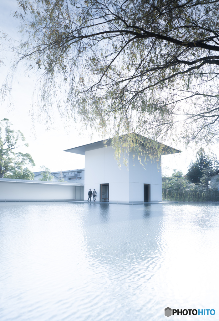 鈴木大拙館ー2（思索空間、水鏡の庭）