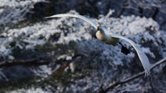 着水場所は決まった！