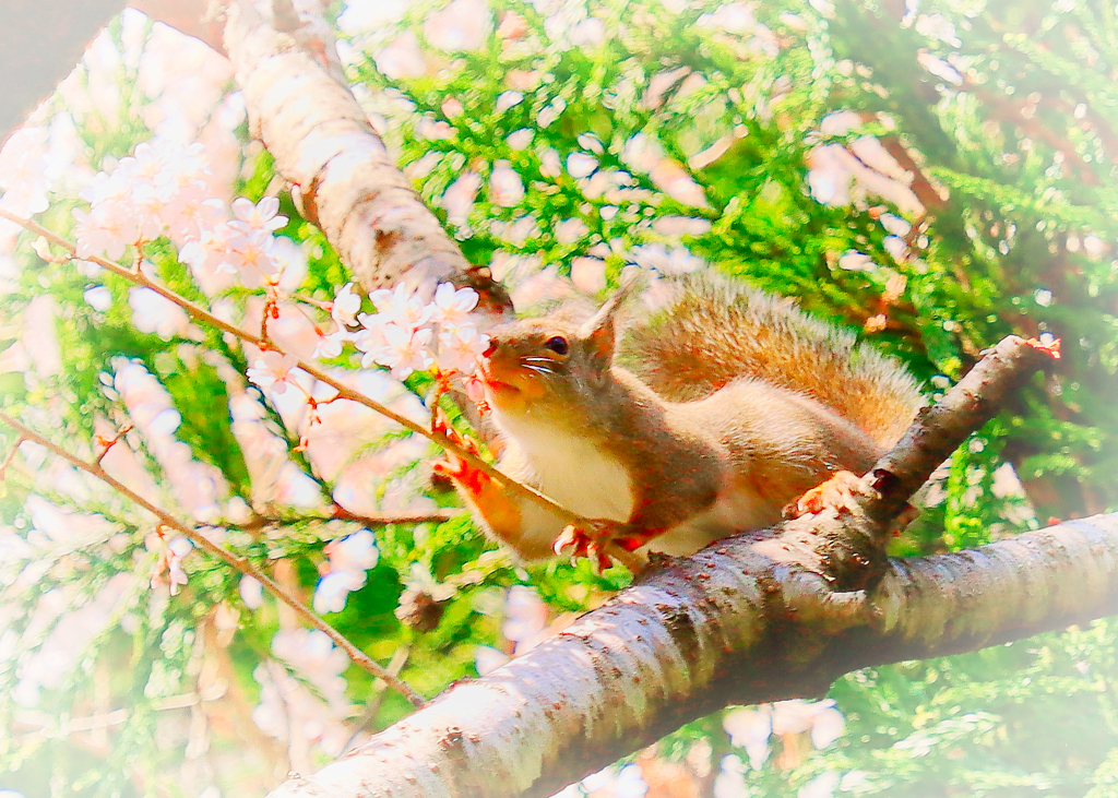 花の匂いに導かれて By いそ写きち Id 写真共有サイト Photohito