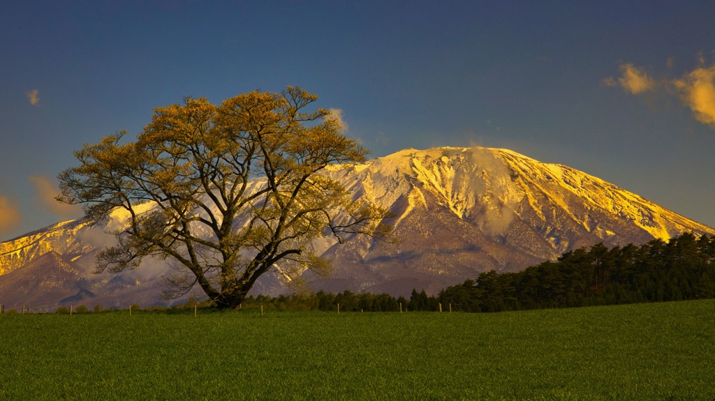 早暁の岩手山