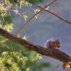 秋晴れの朝食