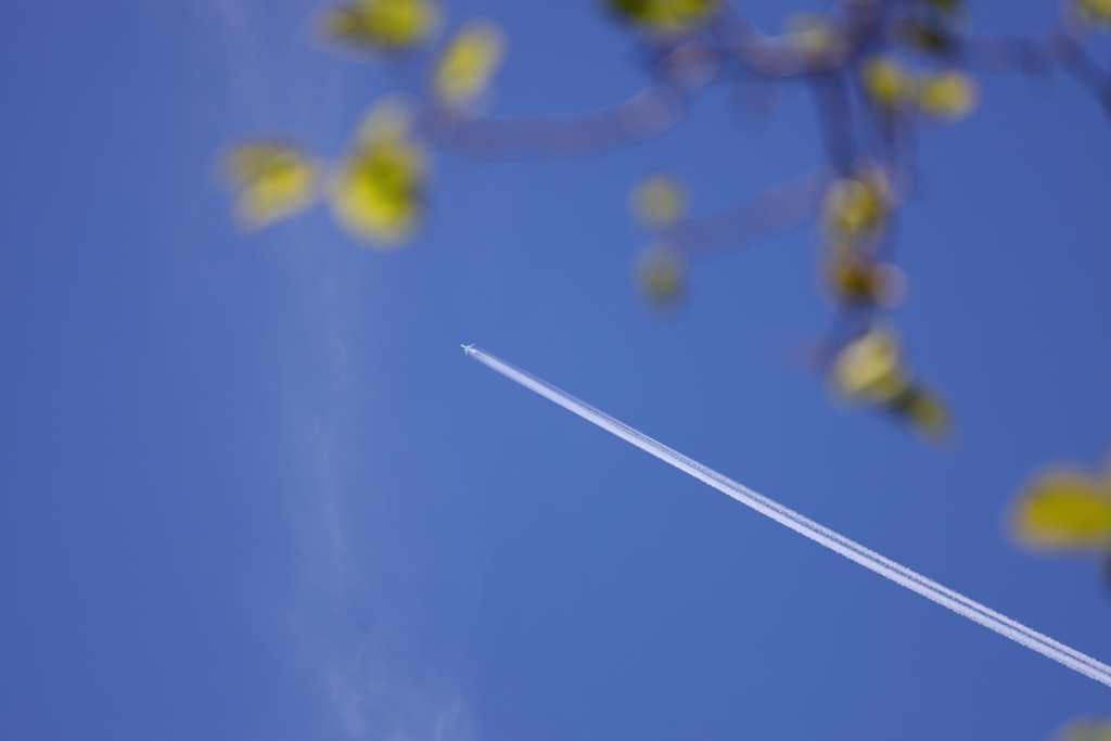 飛行機雲