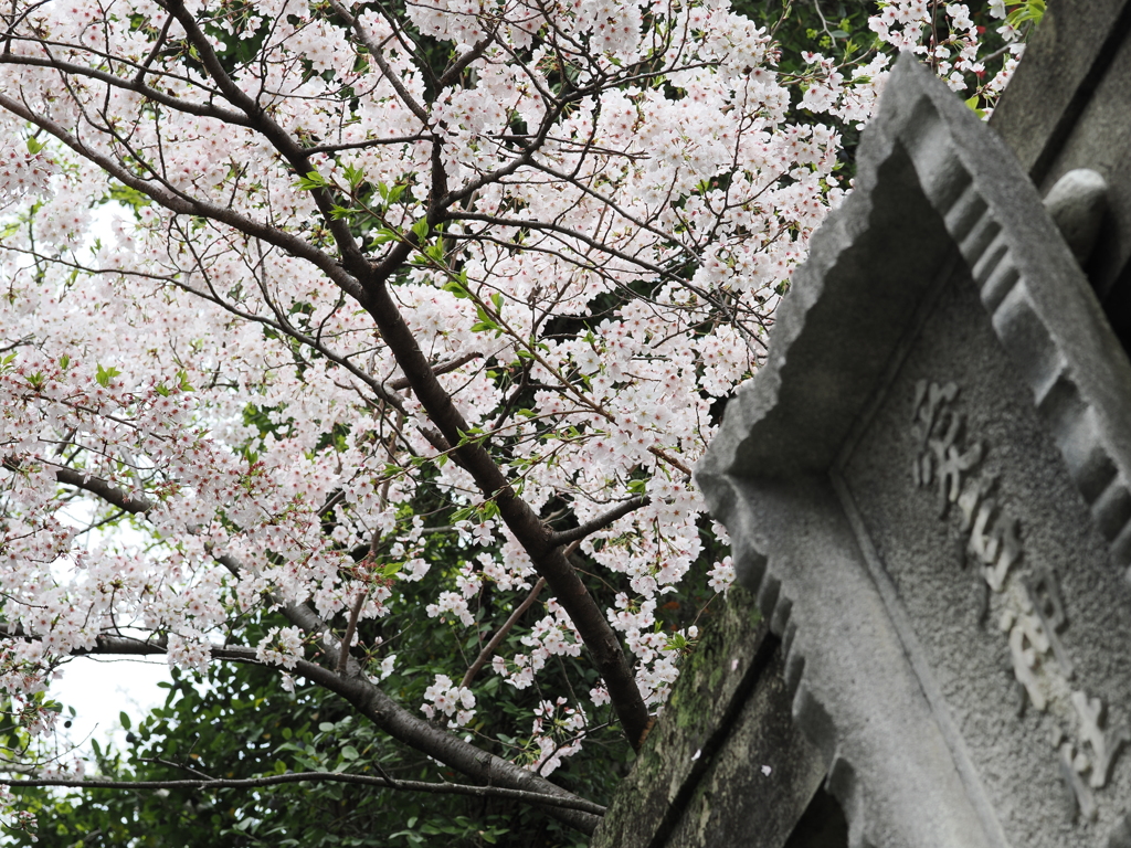 2024春の鷲尾愛宕神社