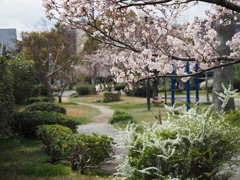 公園の風景