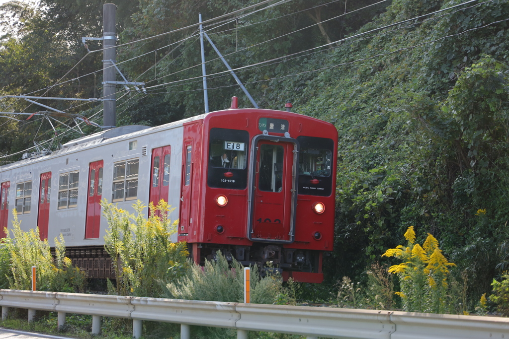 電車が好きです