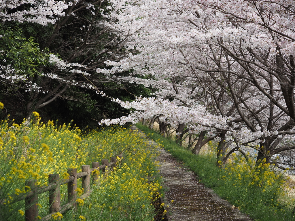 春の風景