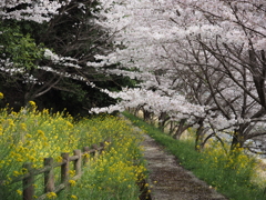 春の風景