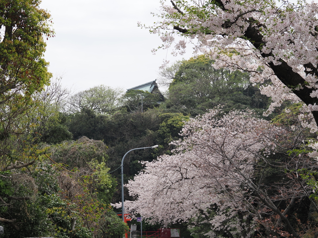 2024春の鷲尾愛宕神社