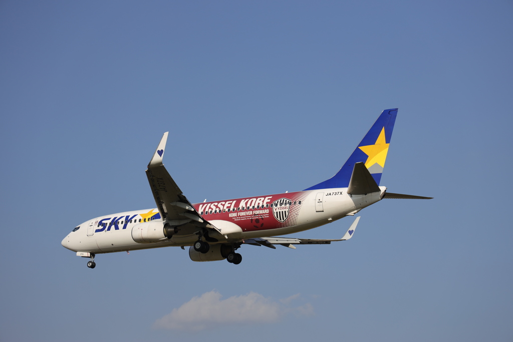 B737-800 ヴィッセルジェット