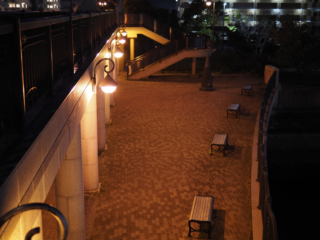 夜の公園