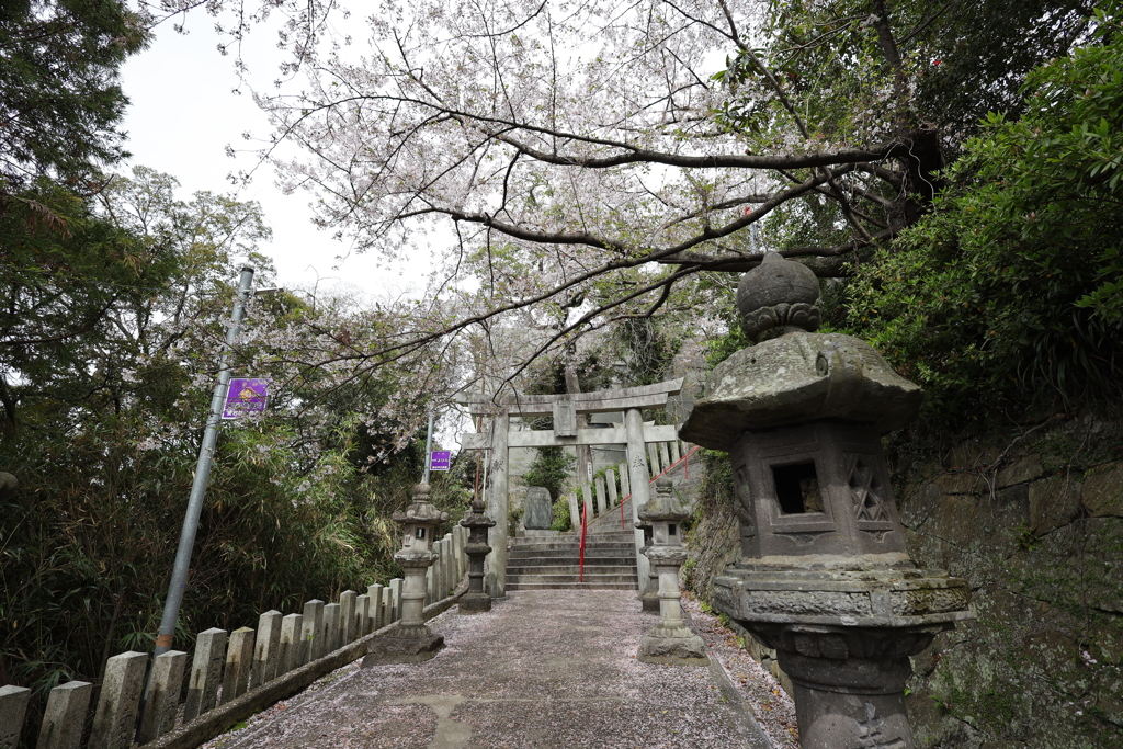 春の愛宕神社