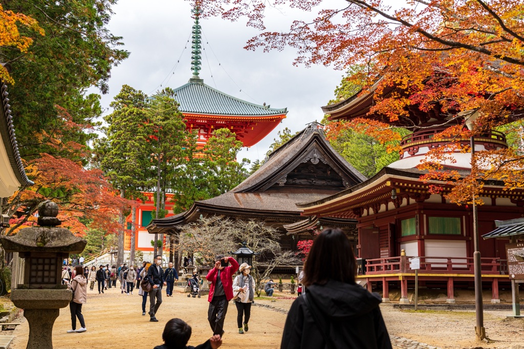 高野山の紅葉