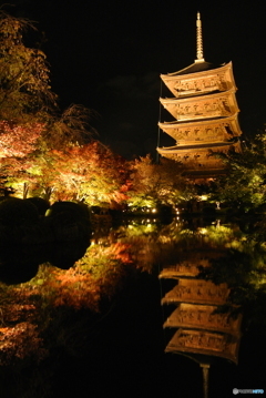 東寺