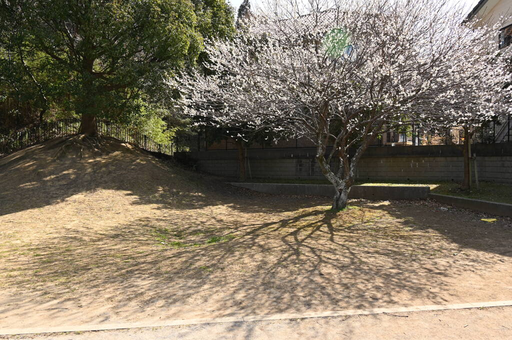 春
