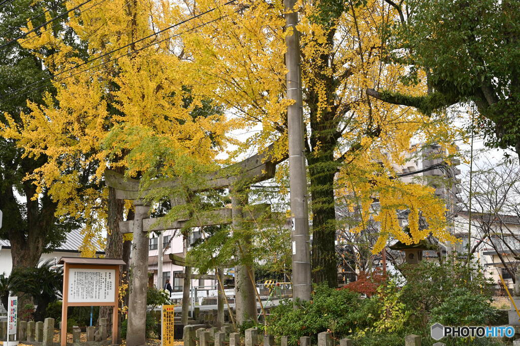通りすがりの神社