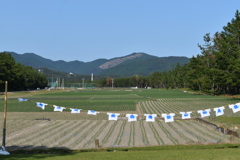 砂浜美術館の｢Ｔシャツアート展｣②