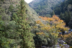 中追渓谷①