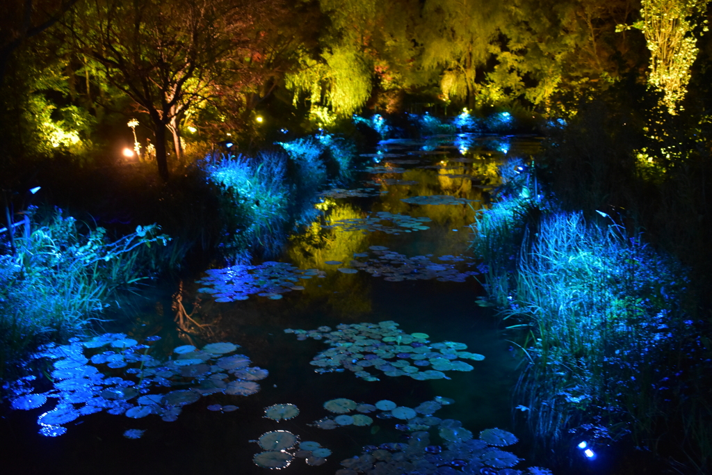 光のフェスタinモネの庭20201①