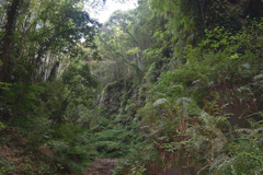 伊尾木洞⑦