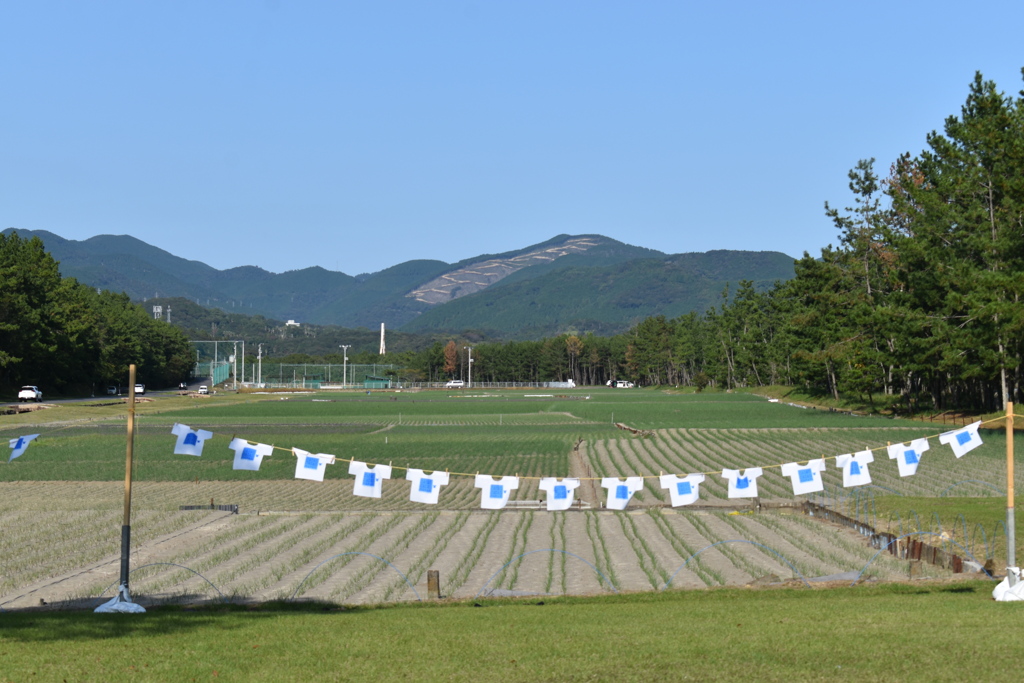 砂浜美術館の｢Ｔシャツアート展｣①