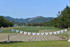 砂浜美術館の｢Ｔシャツアート展｣①