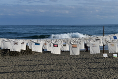 砂浜美術館の｢Ｔシャツアート展｣⑤