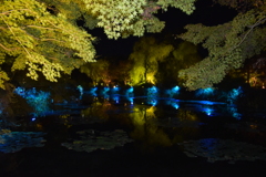 光のフェスタinモネの庭2020④