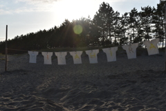 砂浜美術館の｢Ｔシャツアート展｣⑪