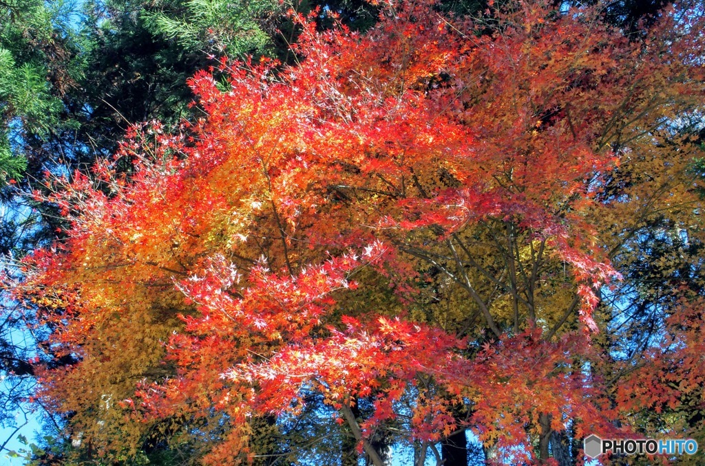 御岳渓谷にて
