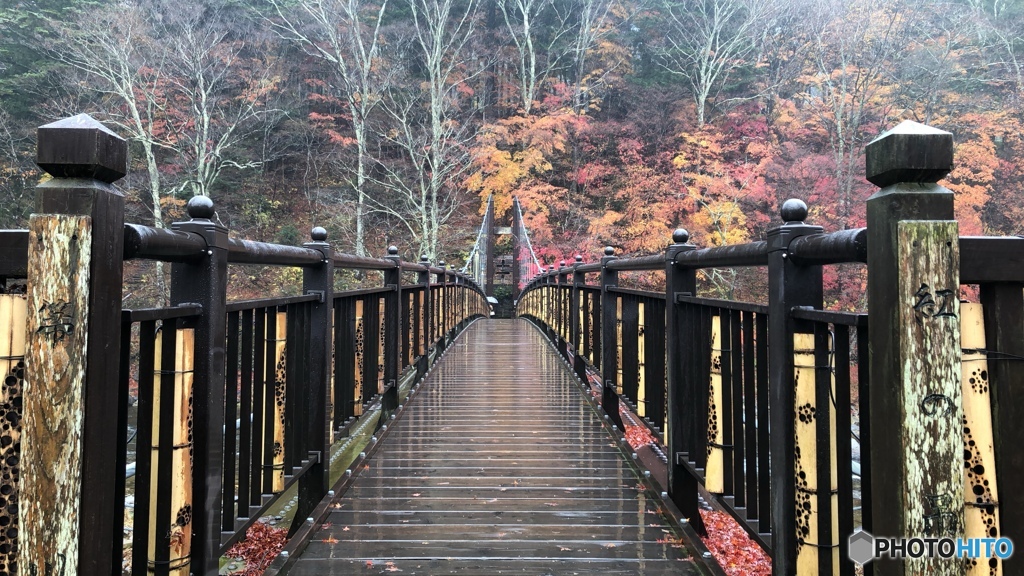 雨上がりの散策 3