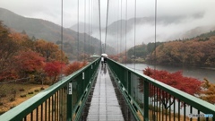 日本一のもみじ谷大吊橋