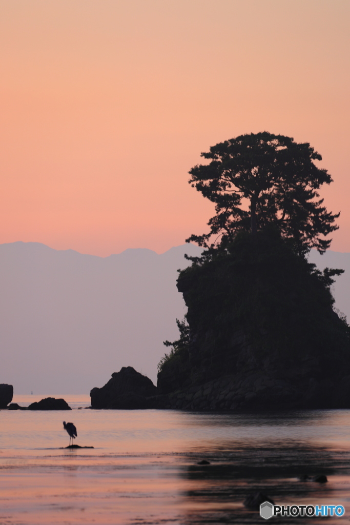 silhouettes