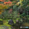 秋の那谷寺散策 5 琉美園の池