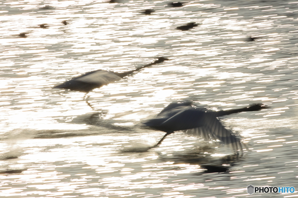 flying image