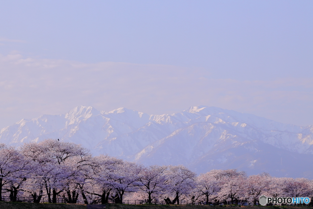 白馬岳をのぞむ