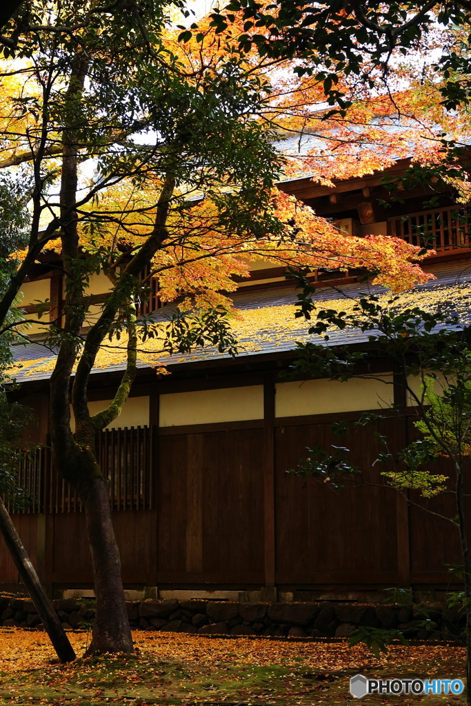 秋の那谷寺散策 2
