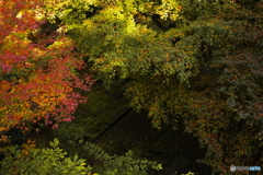 秋の那谷寺散策 4 石畳