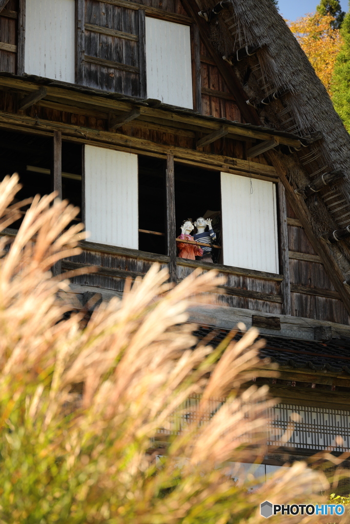 五箇山の秋