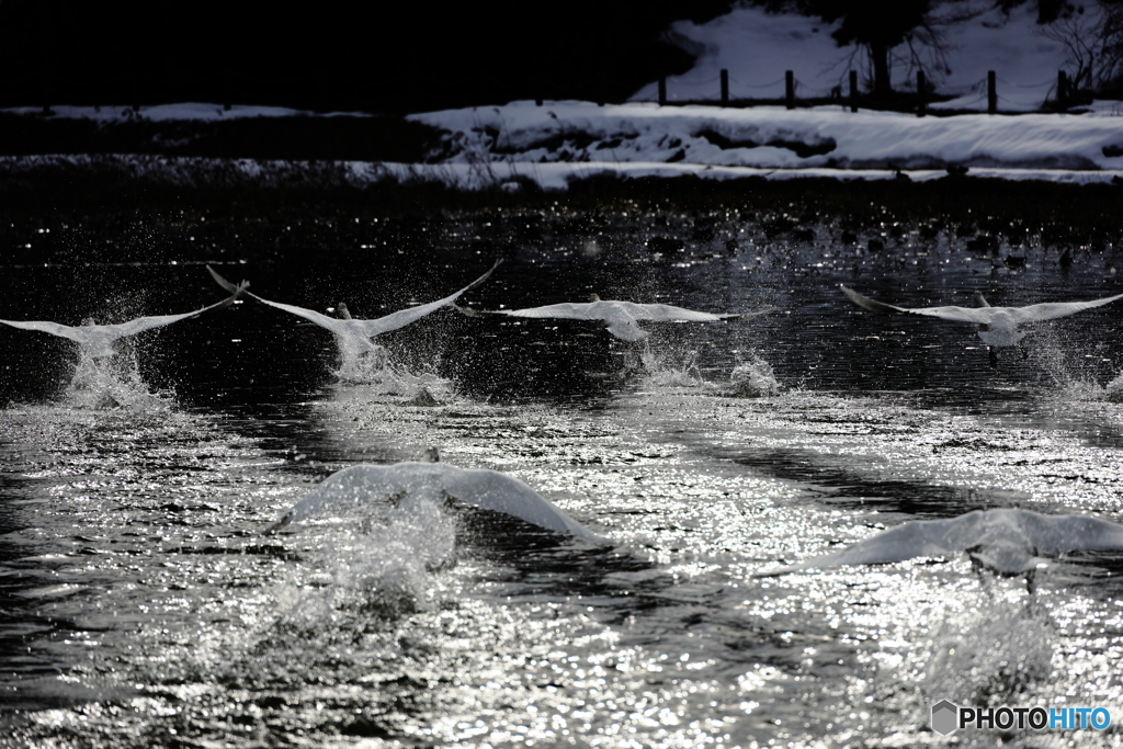 SPLASH!!
