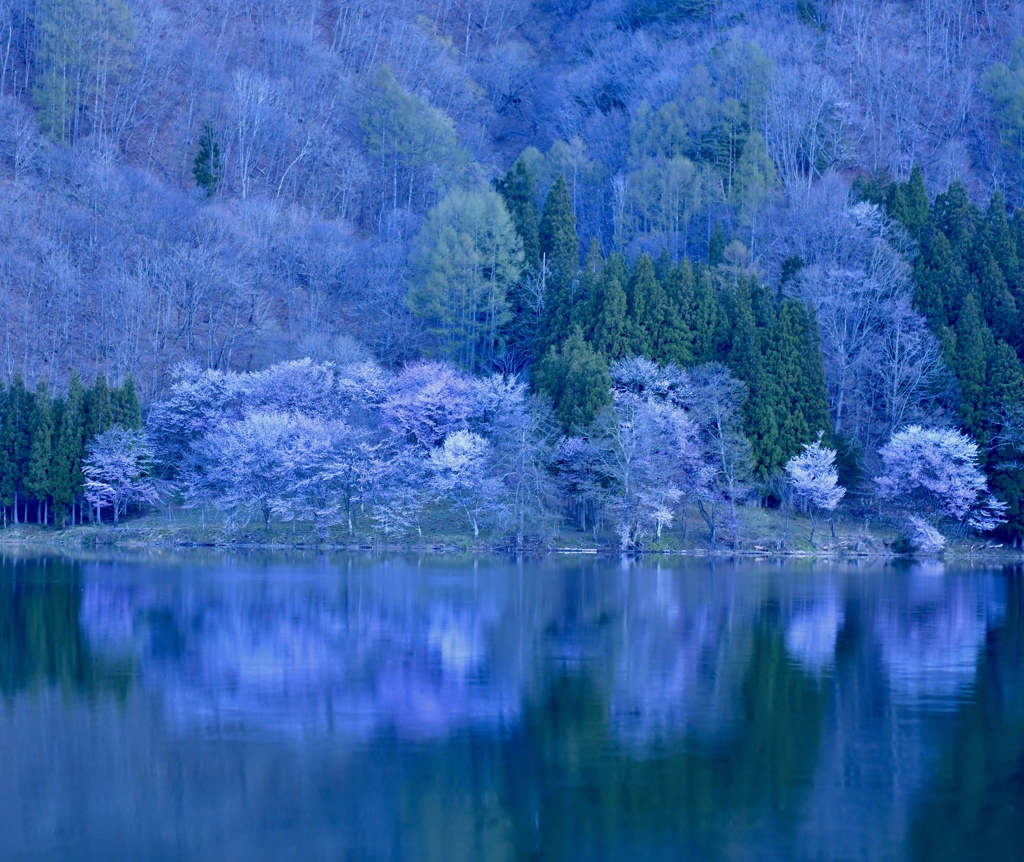 中綱湖　夜明け前