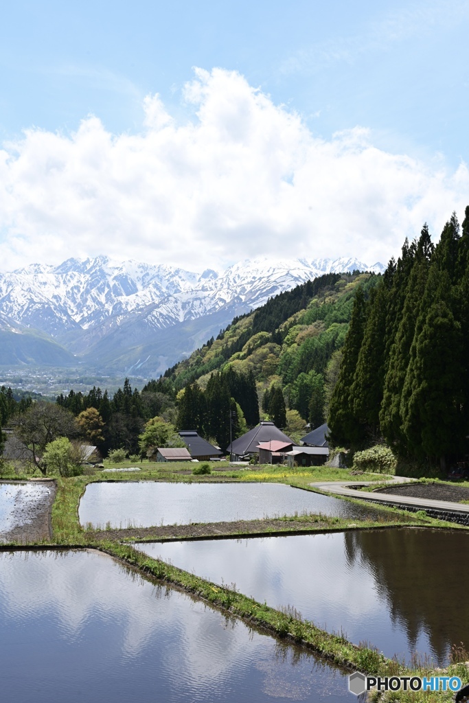青鬼の棚田　